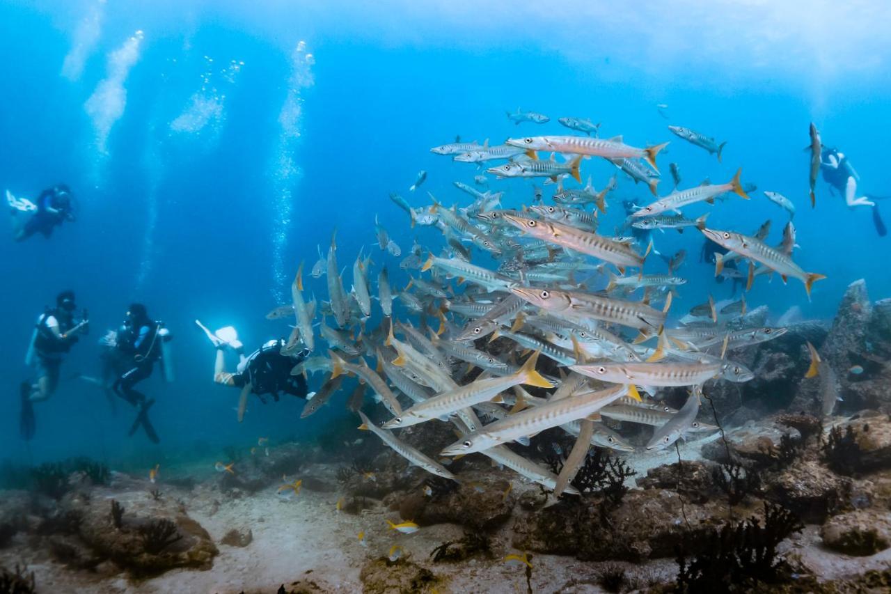 Forra Dive Resort Sunrise Koh Lipe Exterior foto